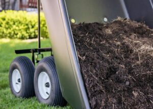 Header Image Resized